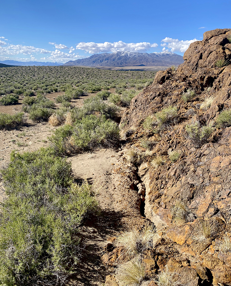 Surface rupture from the Monte Cristo Range Earthquake