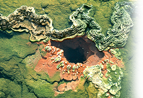 Hyder Hot Springs, 1980